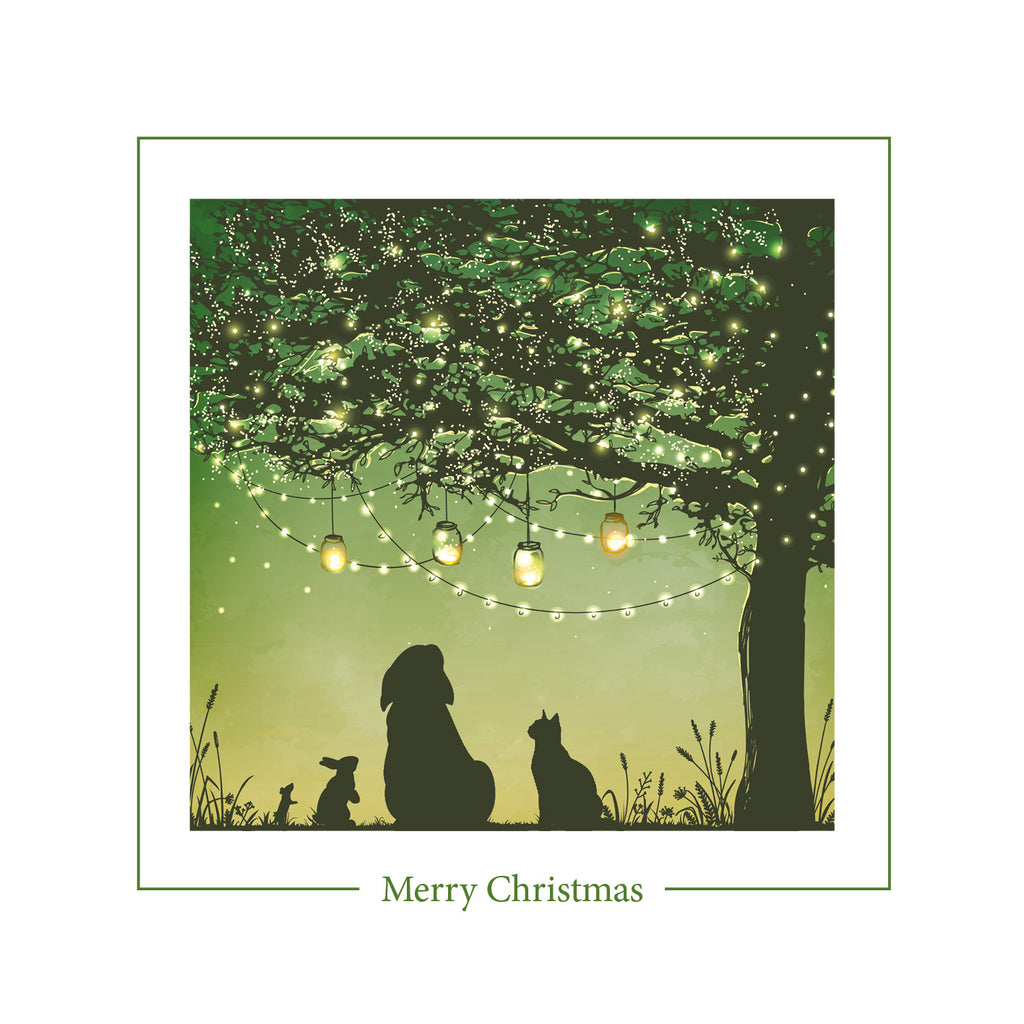 New - Charity Christmas cards now support StreetVet