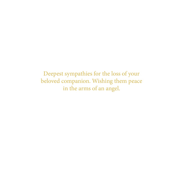 Sympathy Card (20 pack) In the arms of angels, White Cat – A Brush With ...