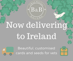 A Brush With Love start delivering to Ireland