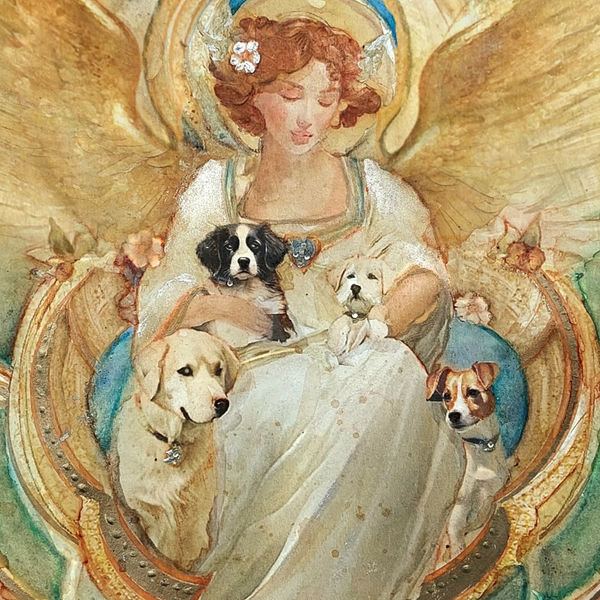 Sympathy Card (20 pack) In the arms of angels, Harmonious Hounds