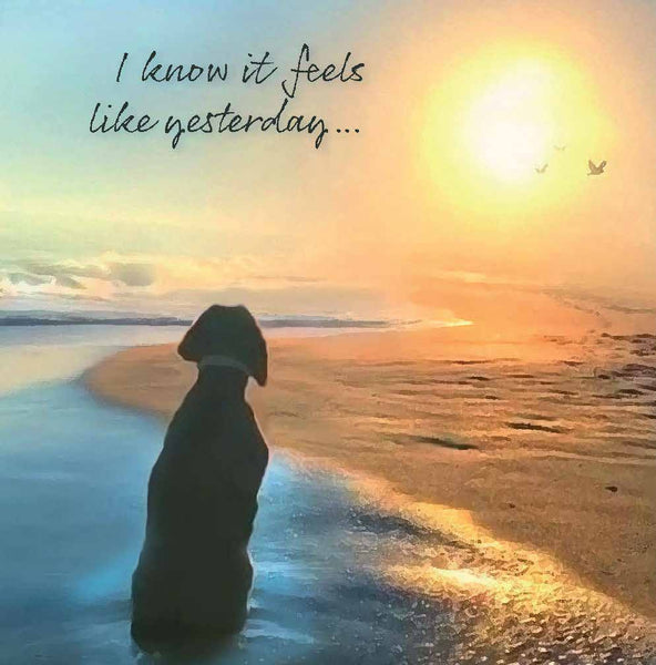 20 Anniversary Cards, Dog in Silhouette, with Poem