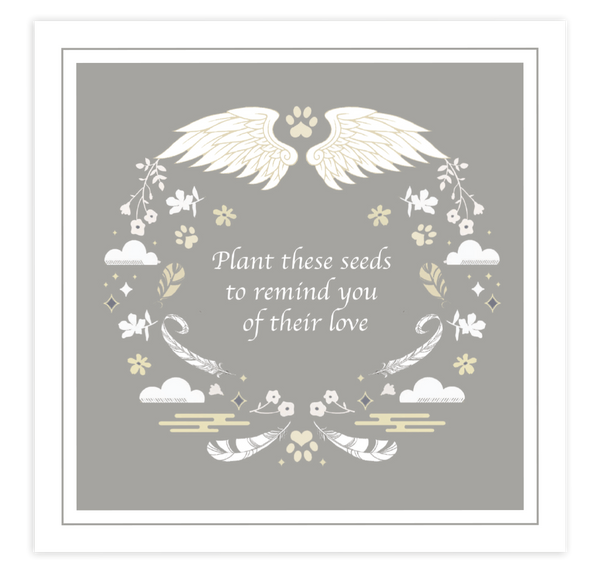 Heartfelt Essentials Wings of Love Small Animals Cards with Seeds (25 each)