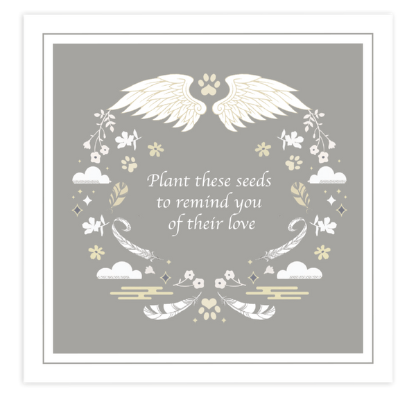 Wildflower seeds (20 pack) - Wings of Love